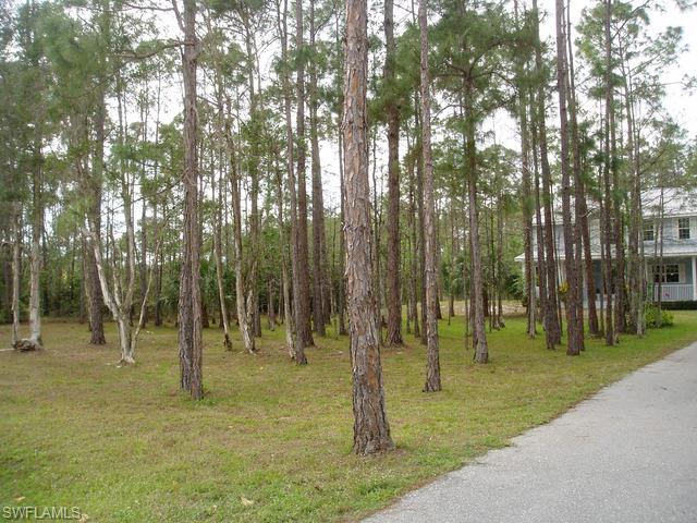 SAN CARLOS ESTATES - Residential