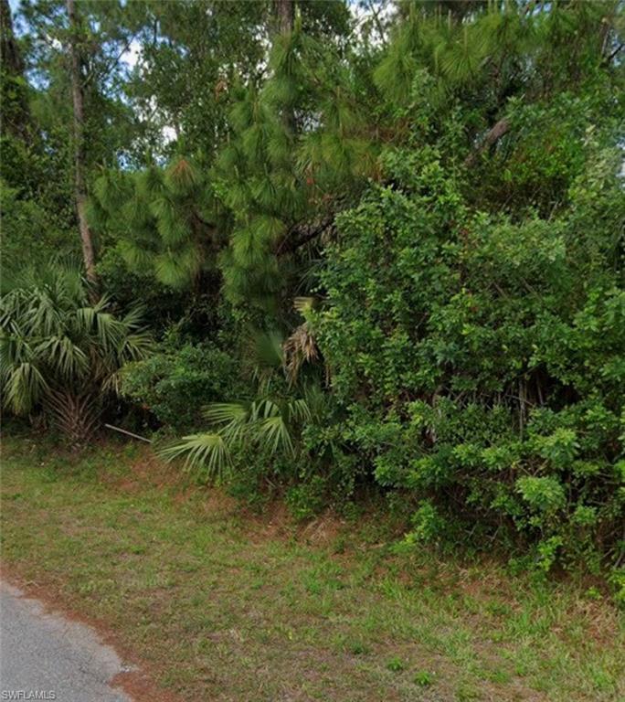 LEHIGH ACRES - Land