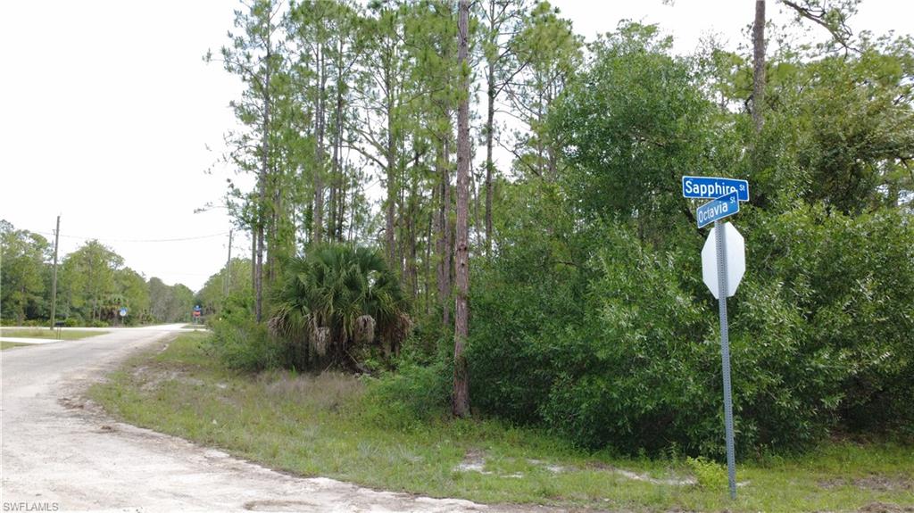 LEHIGH ACRES - Land