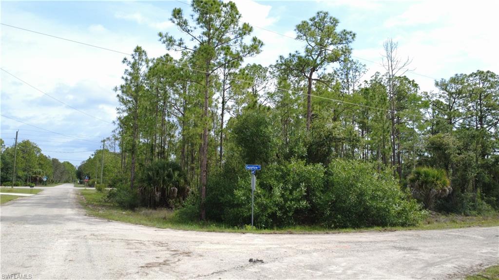 LEHIGH ACRES - Land