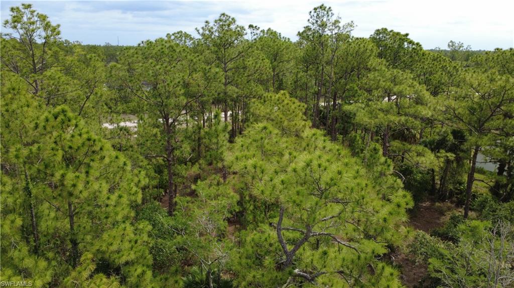 LEHIGH ACRES - Land