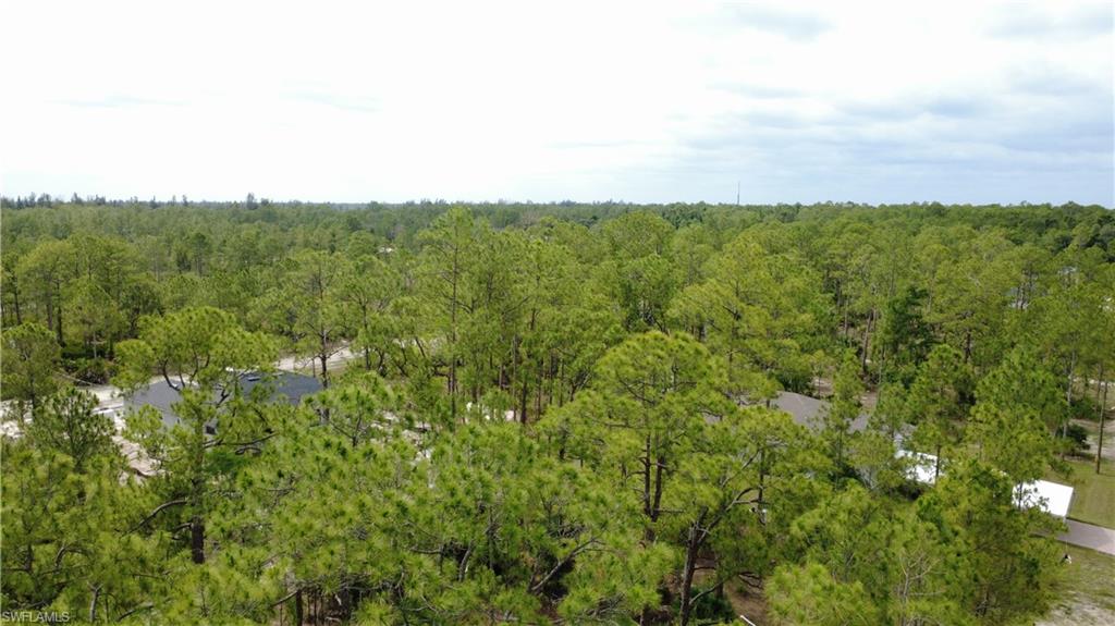 LEHIGH ACRES - Land