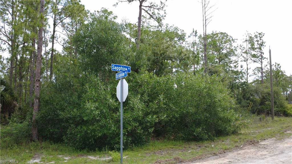 LEHIGH ACRES - Land