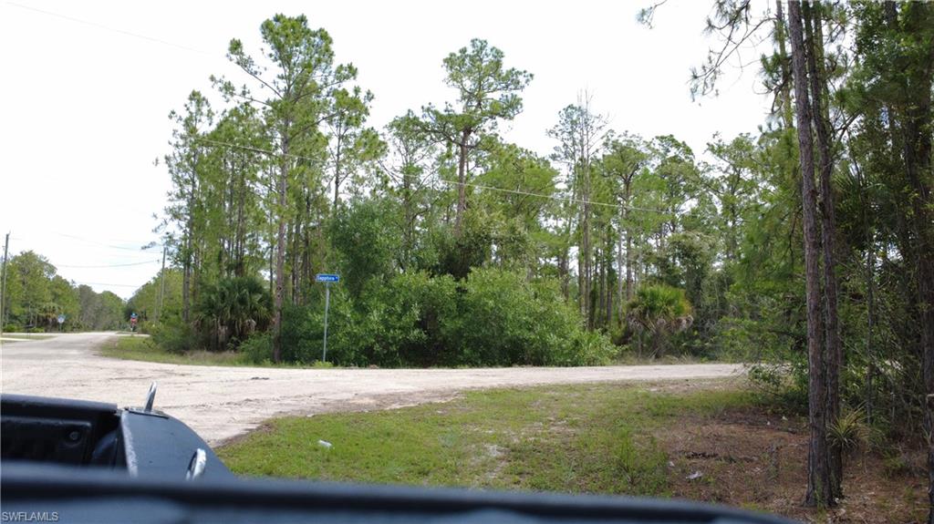 LEHIGH ACRES - Land