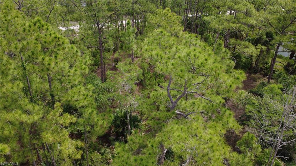 LEHIGH ACRES - Land