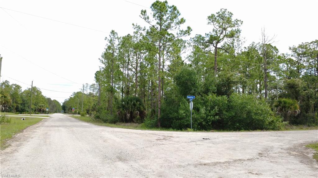 LEHIGH ACRES - Land