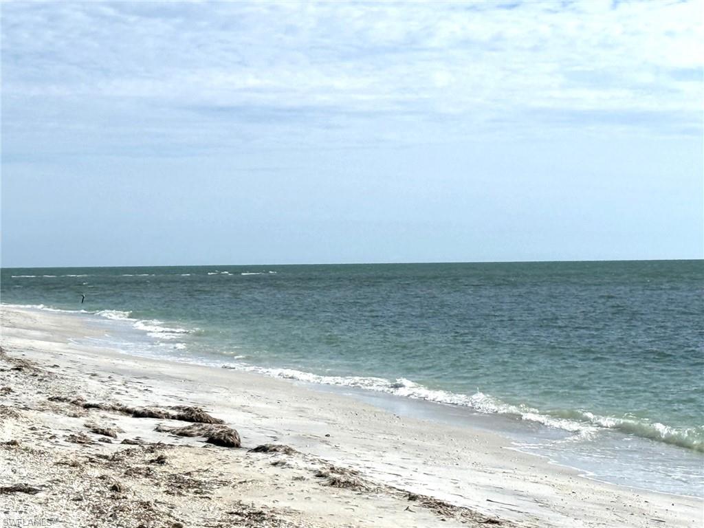 SAFETY HARBOR CLUB - Residential