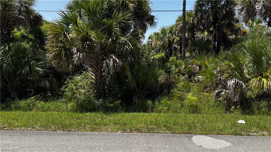 GOLDEN GATE ESTATES - Land