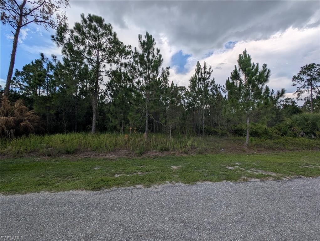 Located at 1012 JACKSON AVELEHIGH ACRES FL 33972 in Lehigh Acres, this parcel offers a prime opportunity to build your dream home in a peaceful and rapidly developing area. Nestled in a quiet neighborhood with minimal traffic, the property provides a serene environment while still being conveniently located near local amenities. Surrounded by natural beauty, the lot boasts a spacious layout, making it ideal for various.