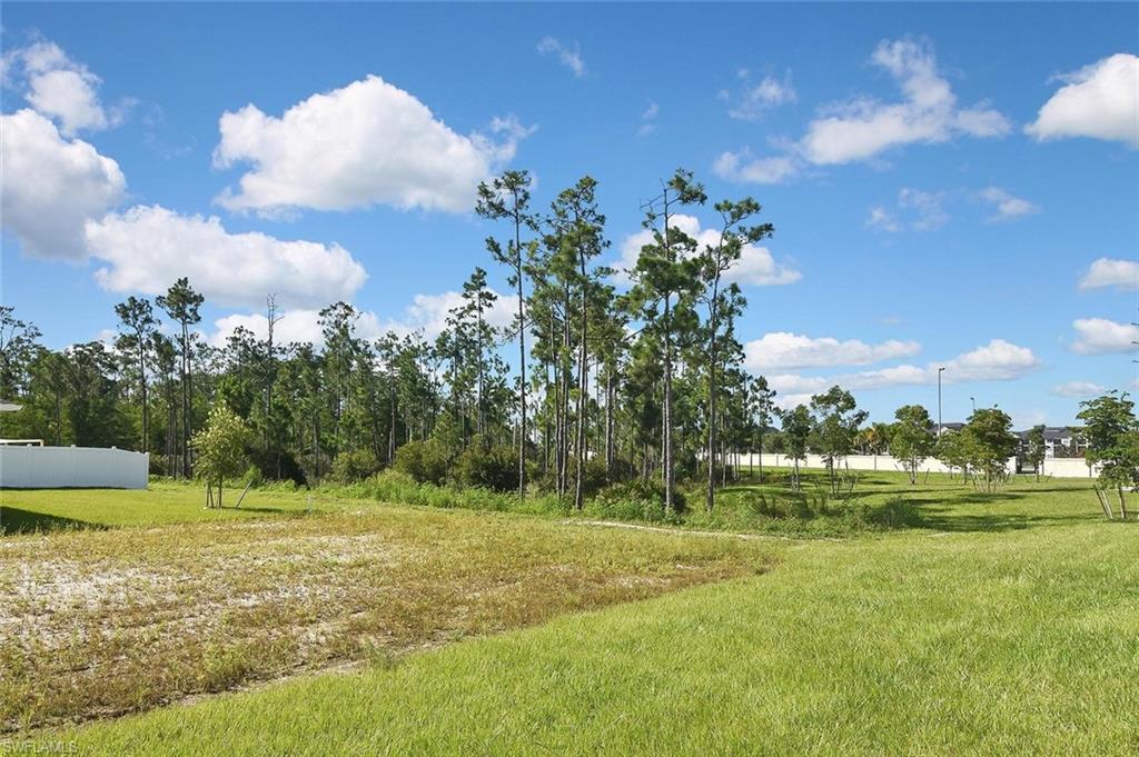 ASHER PARK - Residential