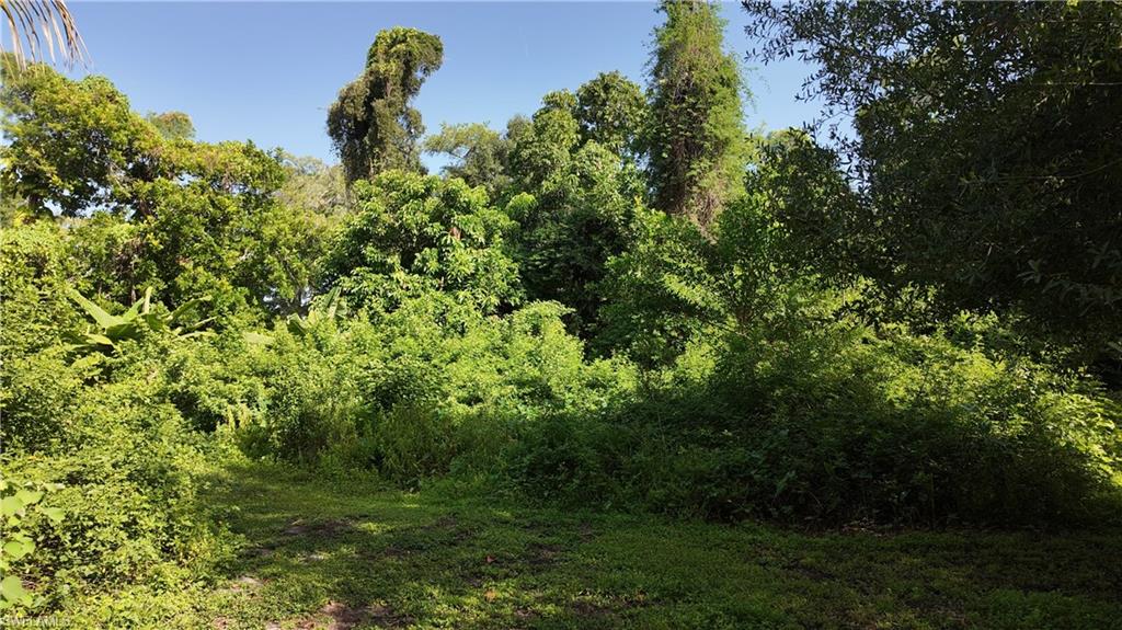 PLANTATION SOUTH UNRECORDED SUBDIVISION - Residential