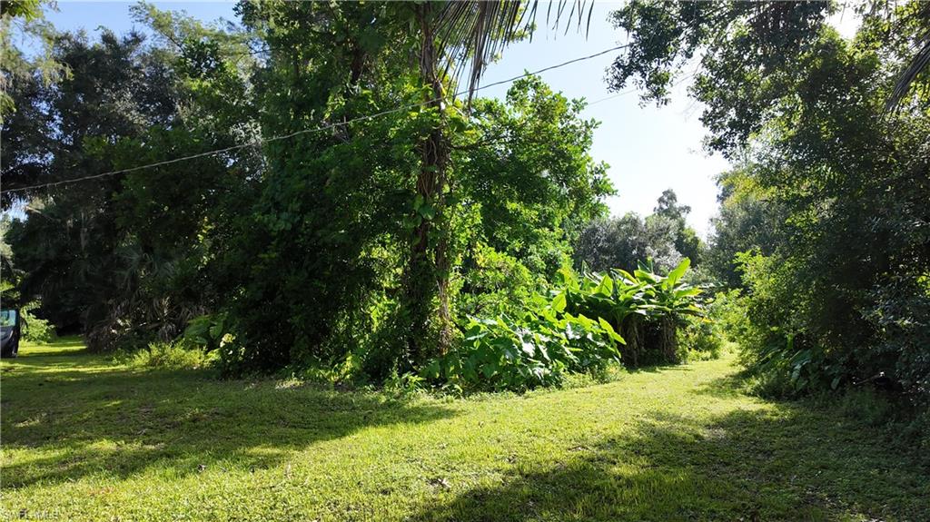 PLANTATION SOUTH UNRECORDED SUBDIVISION - Residential