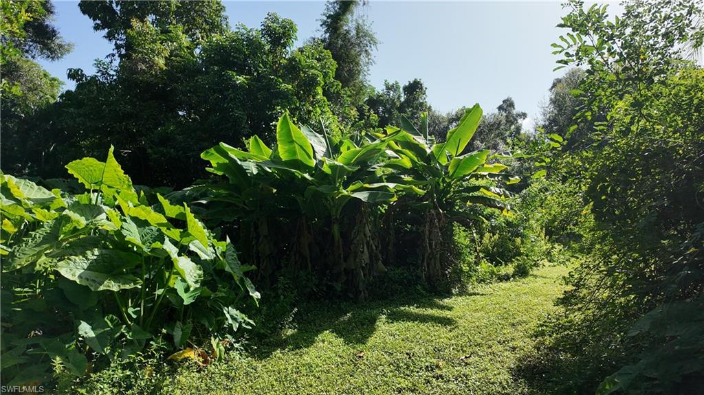 PLANTATION SOUTH UNRECORDED SUBDIVISION - Residential