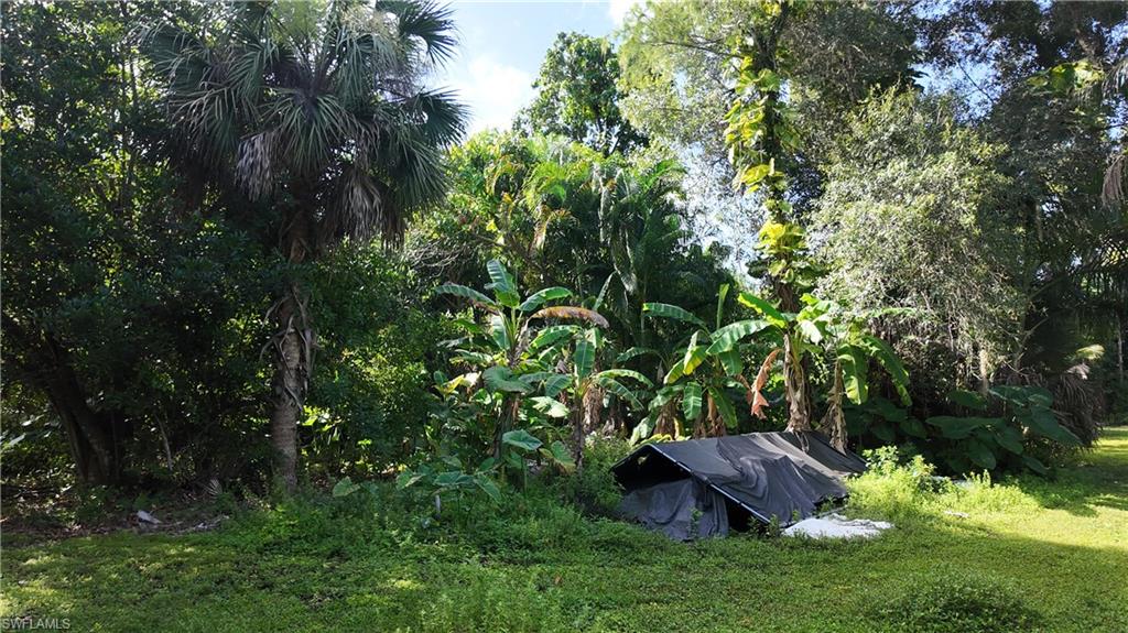 PLANTATION SOUTH UNRECORDED SUBDIVISION - Residential