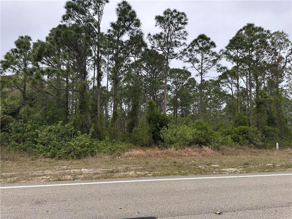 LEHIGH ACRES - Land