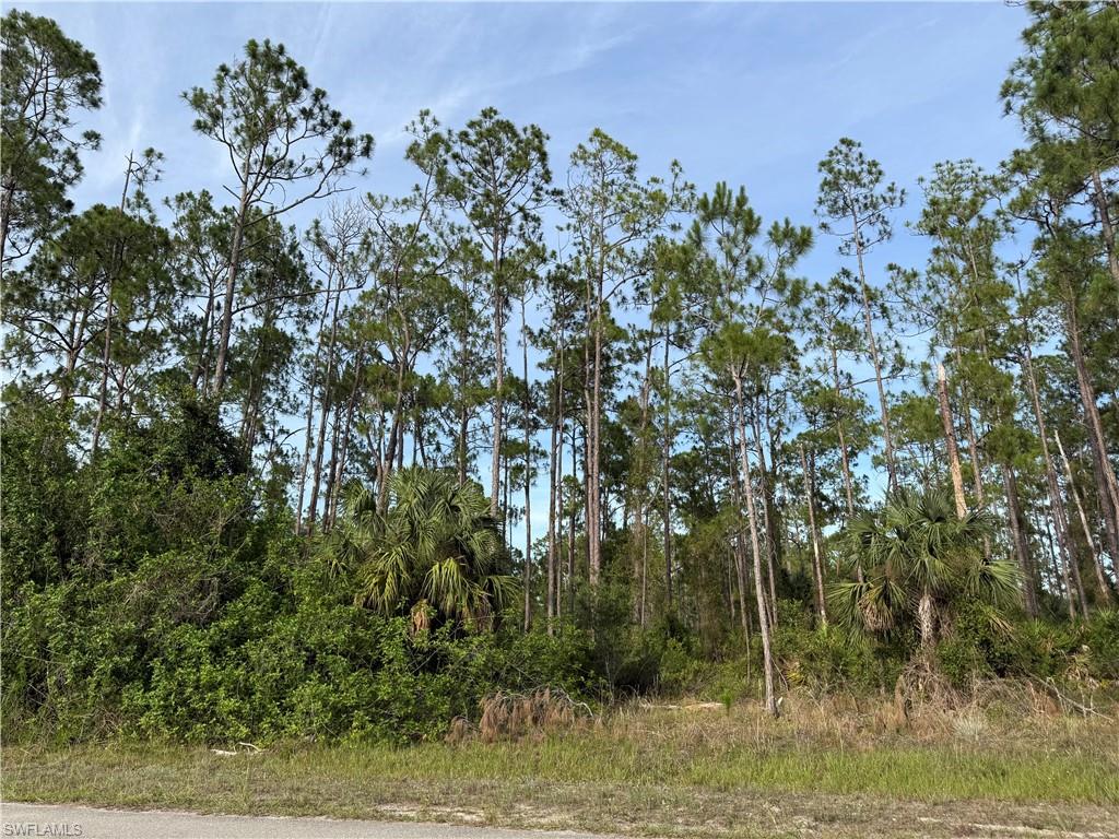1/2 acre lot in charming neighborhood. Lots of pine trees, palmettos, and natural beauty conveniently located approximately 1 mile from Joel Blvd and 3 miles from SR 80. This is an idyllic setting to build a home in a developing neighborhood, minutes from restaurants, shopping, and schools.