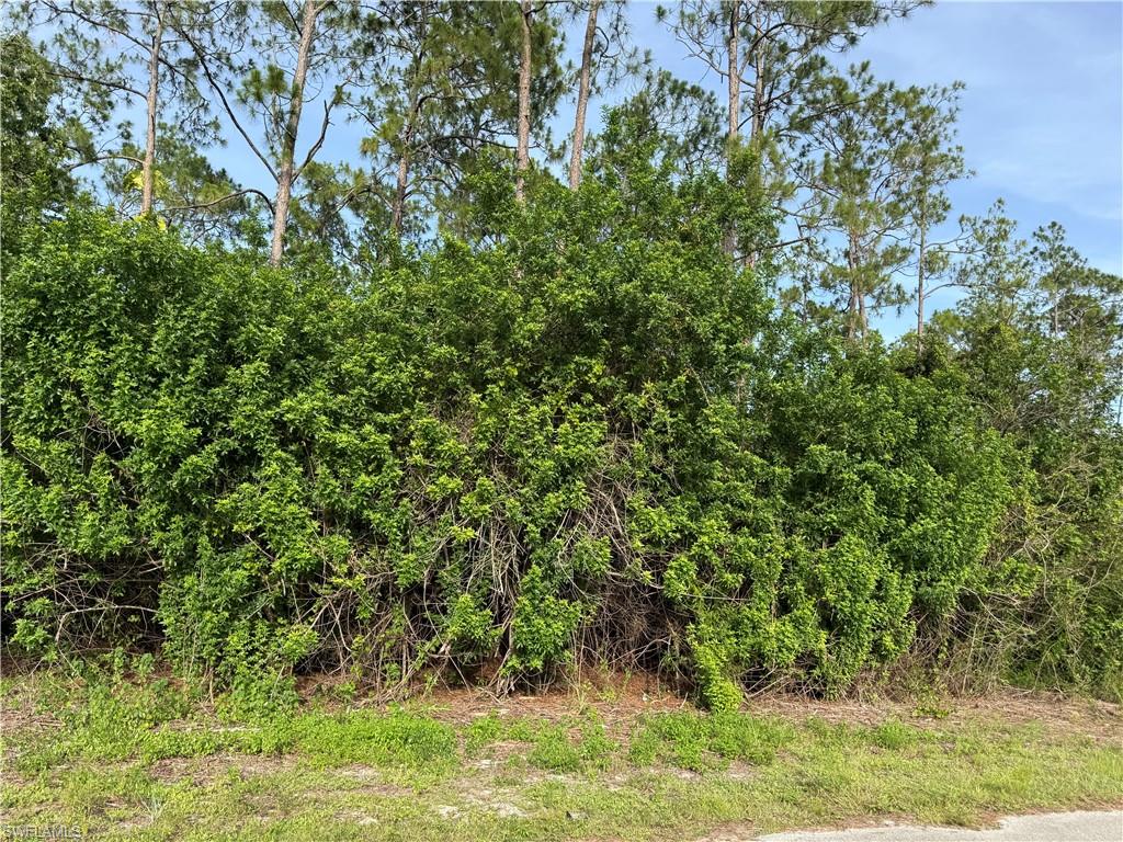 LEHIGH ACRES - Land