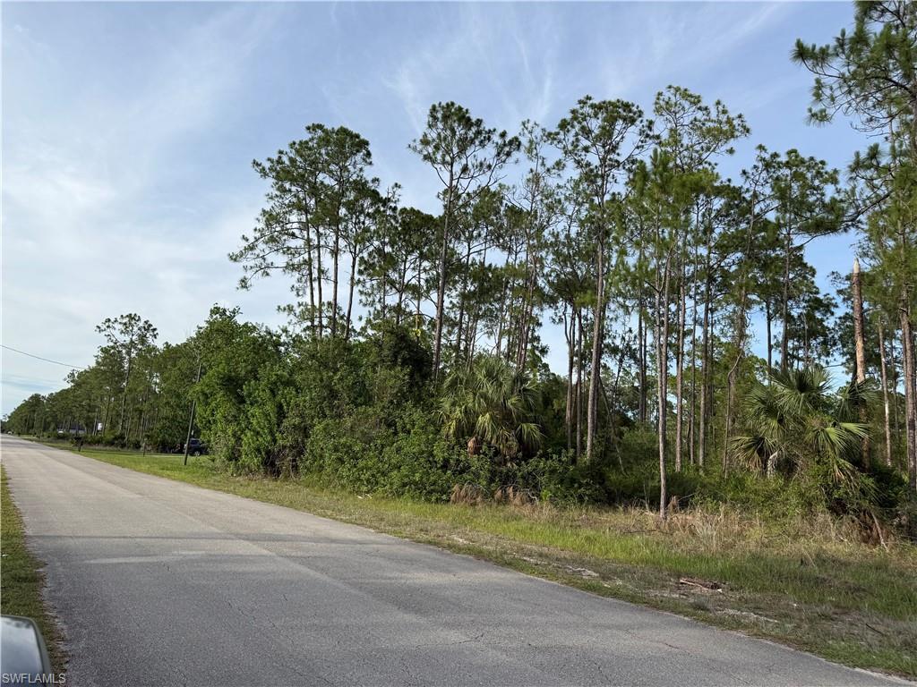 LEHIGH ACRES - Land