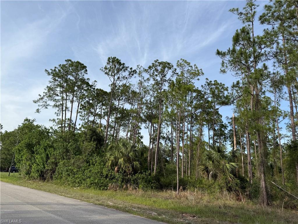 LEHIGH ACRES - Land