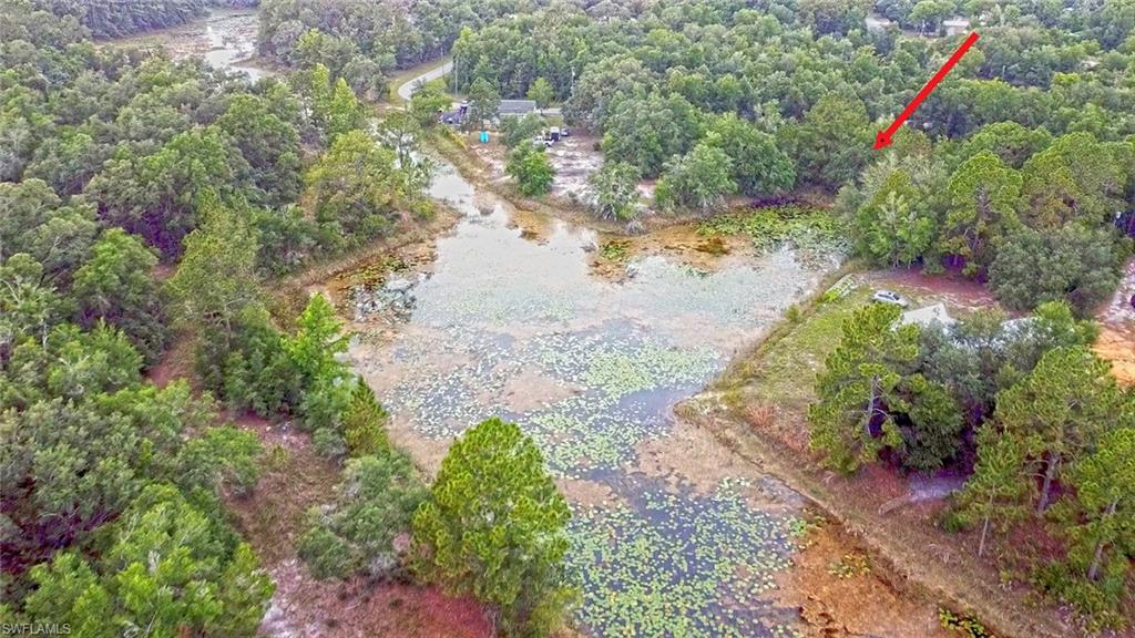 Great .27 acre lot on a scenic lake in Ridge Manor Estates.  Partially cleared. Kayak and fish in your own back yard. Need more space? The adjoining .48 acre lot is also available, buy both for a fantastic waterfront compound. Great up and coming community, especially for nature lovers and outdoor enthusiasts-- new construction is popping up, but the neighborhood is still mostly rural. No HOA. All kinds of Florida wildlife abounds in the area, especially native and migratory birds. And, the community is surrounded by some of the state's best wildlife areas. Right down the street is Withlacoochee State Forest with miles of hiking/horseback/biking trails. Silver Lake Recreation Area is only a few miles away. Richloam Wildlife area and Green Swamp West wildlife areas are just minutes away by car. Short drive to Interstate 75; Tampa, Orlando and Florida's gorgeous beaches are all within an hour drive. Don't miss the opportunity to own your own piece of paradise.