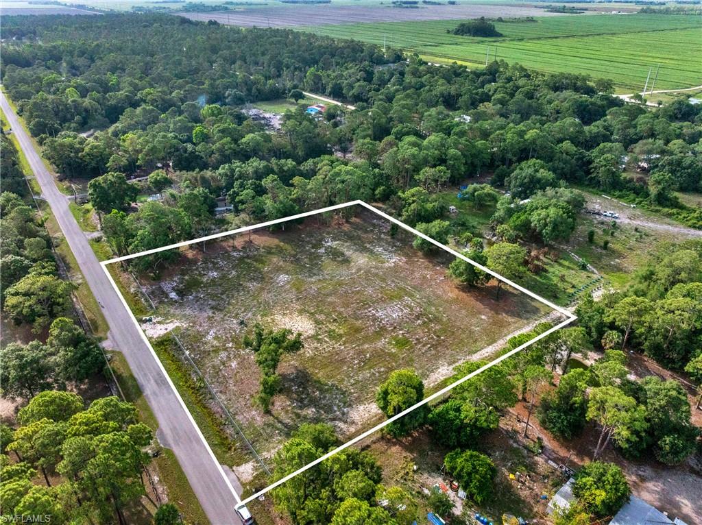 PIONEER PLANTATION SEC 35 - Land