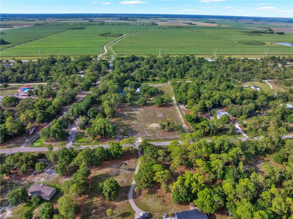 PIONEER PLANTATION SEC 35 - Land