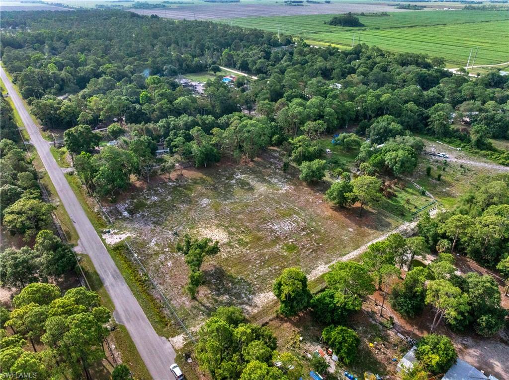 PIONEER PLANTATION SEC 35 - Land