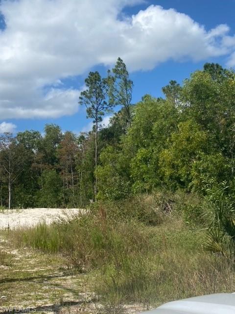 GOLDEN GATE ESTATES - Land