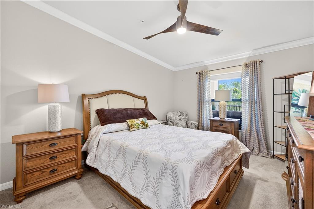 PALMETTO COVE - Residential