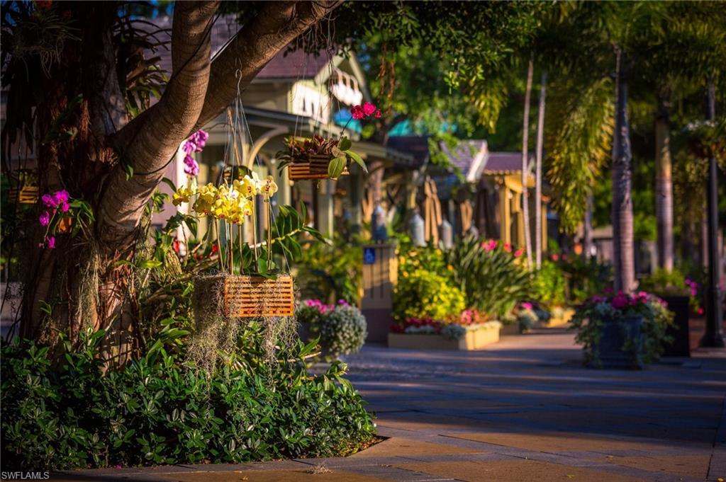 OLDE NAPLES - Residential