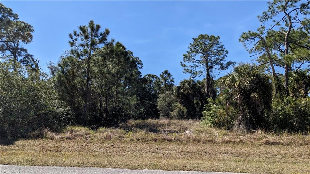 Build your future home on this cleared quarter-acre lot in desirable Port LaBelle. Enjoy central water, paved road access, and utilities available at the street. The property offers a mix of open space and shade trees in a quiet residential area close to LaBelle’s parks, schools, and local amenities. A great spot for your next home or investment.