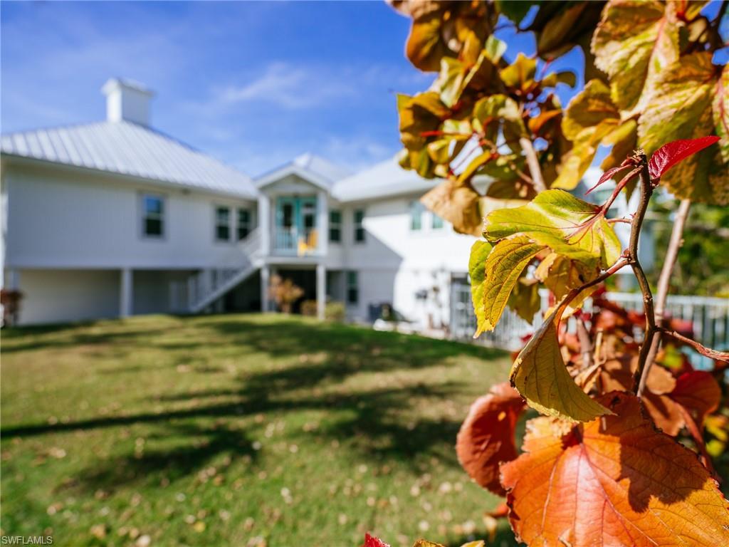 GUMBO LIMBO - Residential