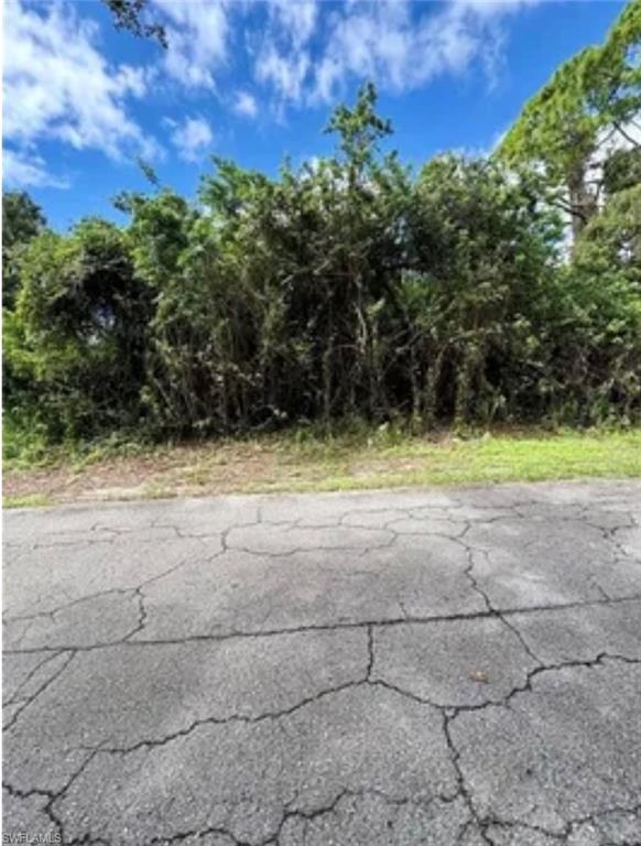 LEHIGH ACRES - Land