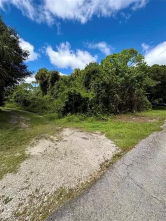 LEHIGH ACRES - Land
