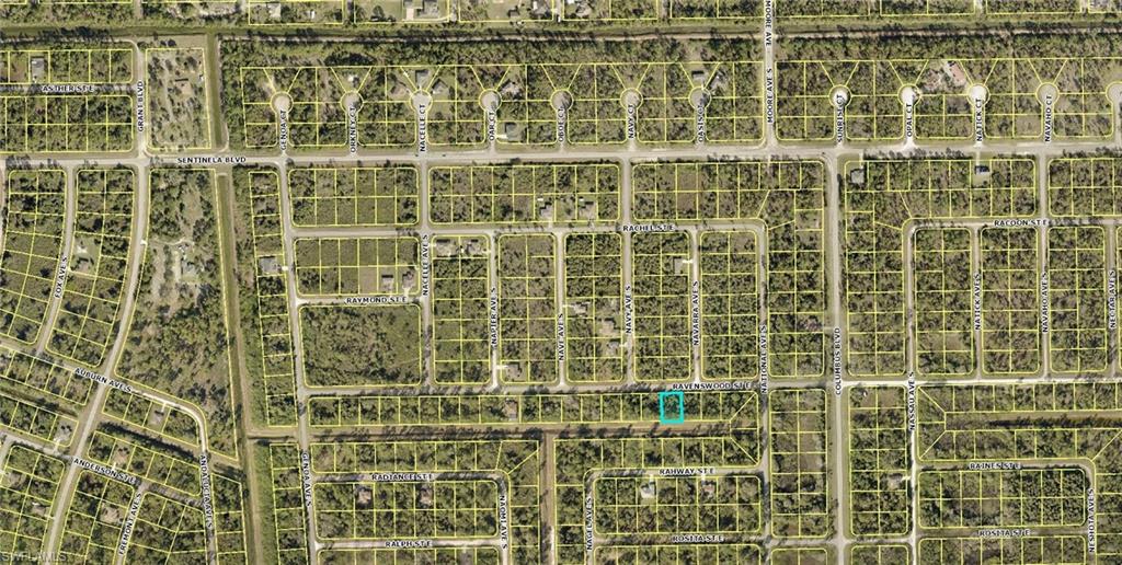 LEHIGH ACRES - Land