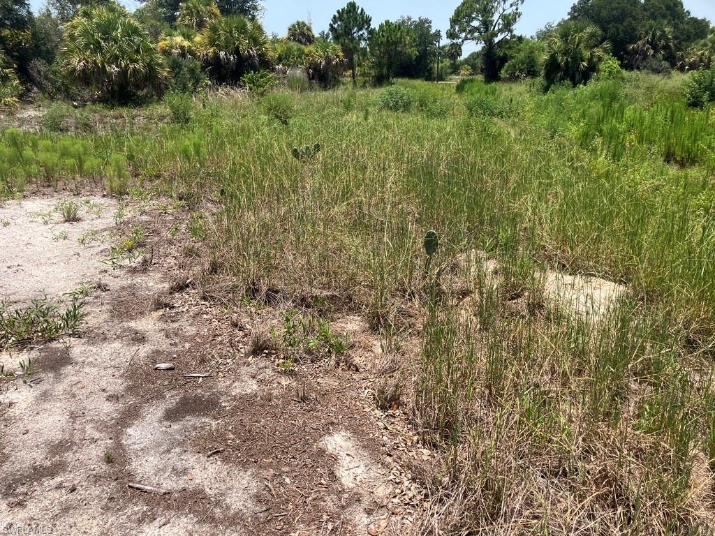PORT CHARLOTTE - Land