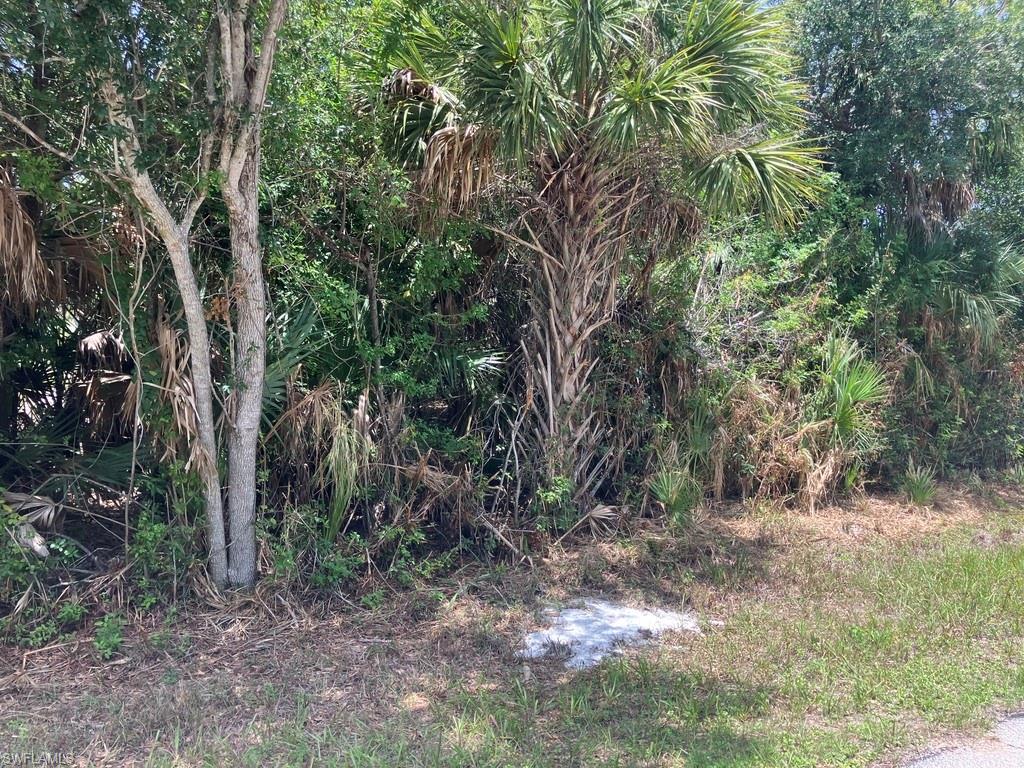 PORT CHARLOTTE - Land