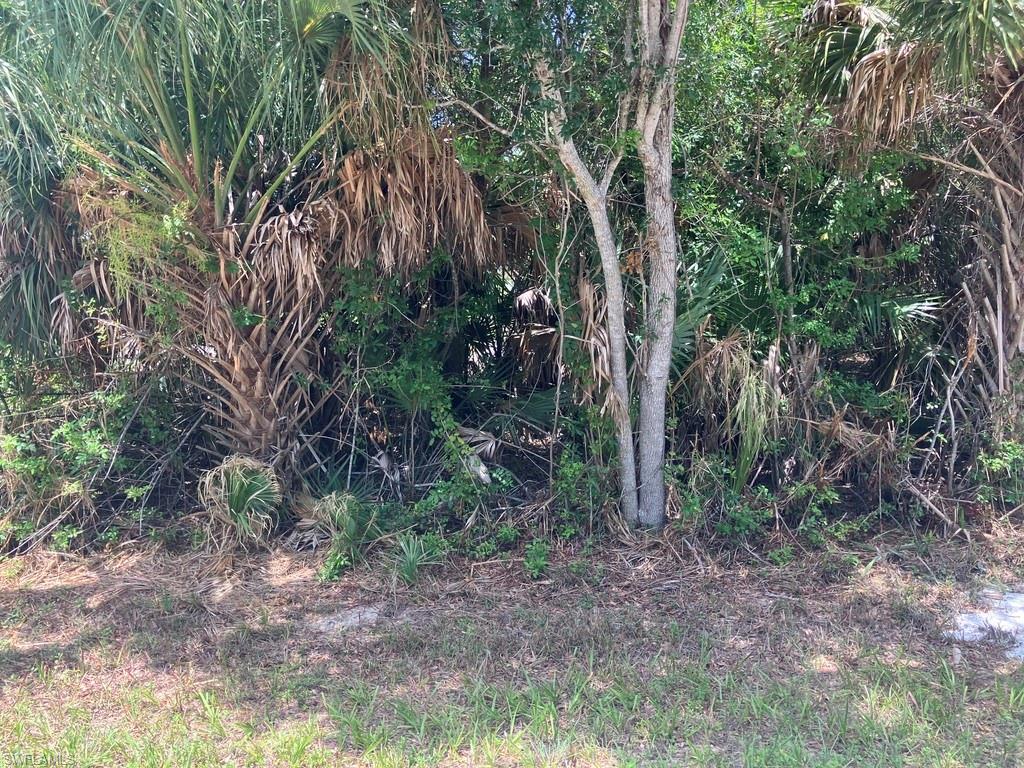 PORT CHARLOTTE - Land