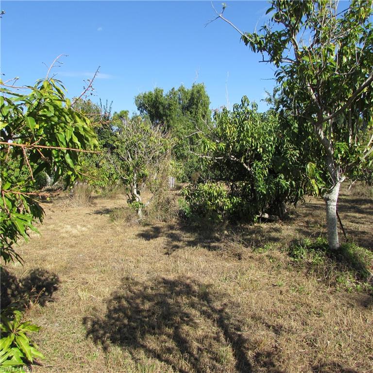 GULF SHORES ESTATES - Land