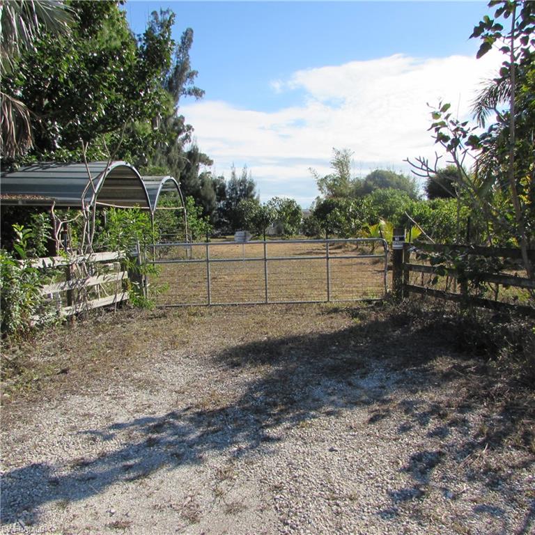 One Acre Tropical Fruit Grove on the corner of Stringfellow Rd and Woodstock Rd on Pine Island. Over 70 Mango Trees, completely fenced. Electric, city water, quonset-Hut work area, Plenty of area to plant Dragon Fruit, lychee, longan, Sapodillas, Chocolate Fruit.. so many unique types of fruit to grow... There is plenty of Bamboo along the property lines for privacy, beauty and building material... Grow, eat and sell your own tropical fruit on Beautiful Pine Island!!    Check this out today !!