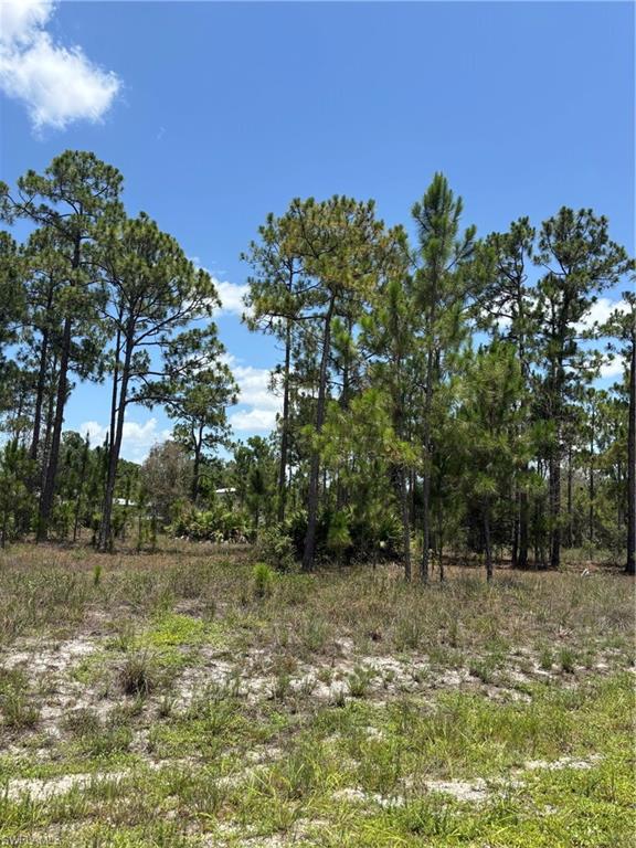 LEHIGH ACRES - Land