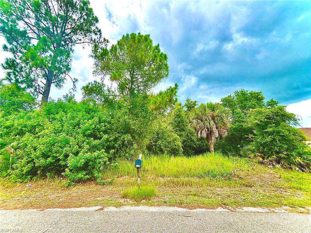GREAT LOCATION 1/2 ACRE on a paved quiet street with utilities. Just minutes from major amenities and a quick commute to Fort Myers. Come build your DREAM HOME or INVEST today!