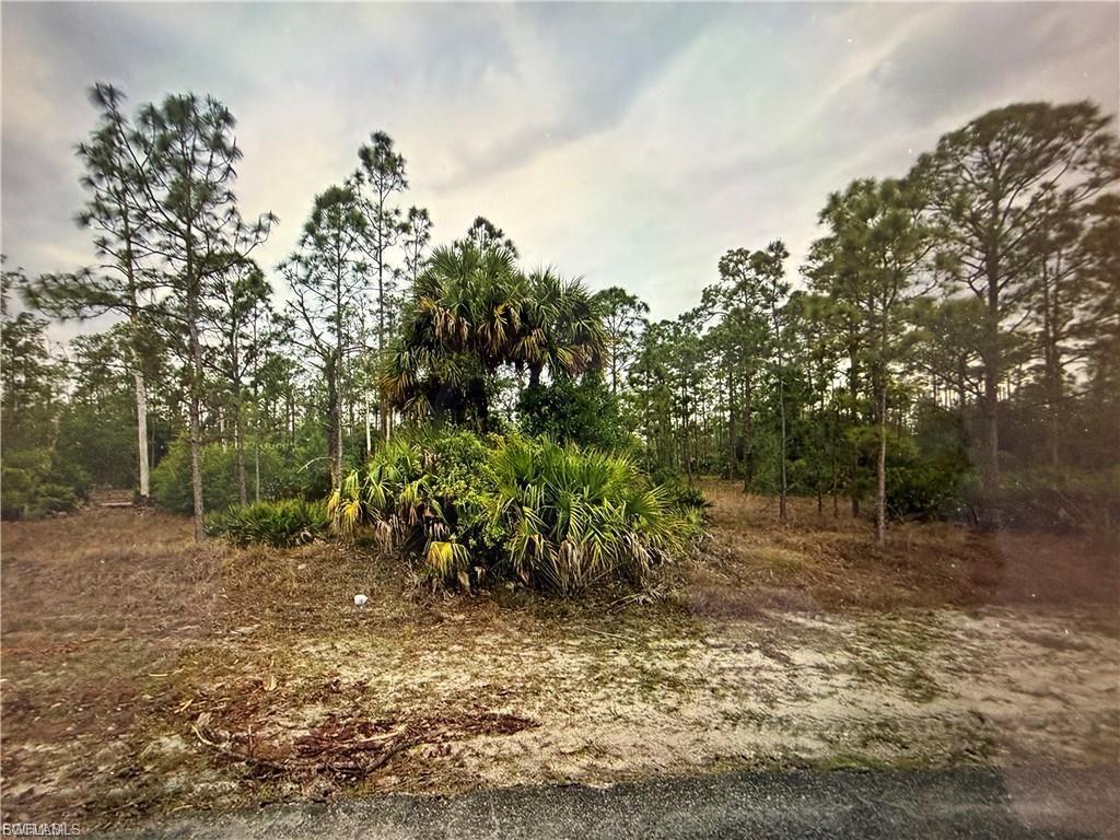 The adjacent lot  1413 Sheldon Ave is for sale as well, you can own side by side lot and have one full acres .Great Location !! O.50 ACRES TO BUILD ON IN A VERY POPULAR AREA OF NEW HOMES WITH ACREAGE !. Close to Alba boat ramp. Surrounded by nature. Plenty of room for your dream home, outbuildings, pool and more ,which allows easy access to Fort Myers/Naples/Cape Coral. Only 15+/- miles from I-75. Don't miss this opportunity to own a piece of Florida's natural beauty!