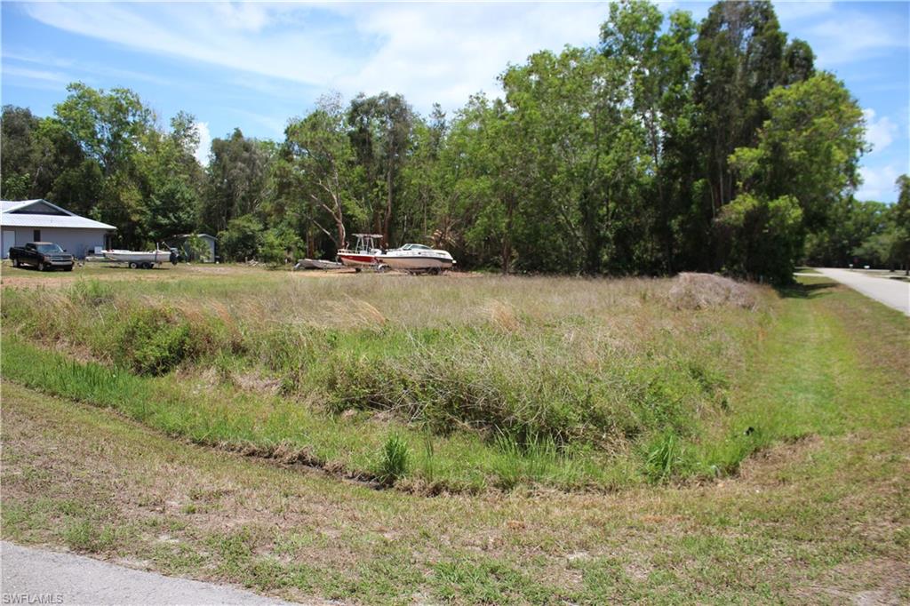 PINE ISLAND CENTER - Land