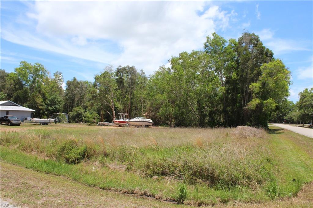 PINE ISLAND CENTER - Land