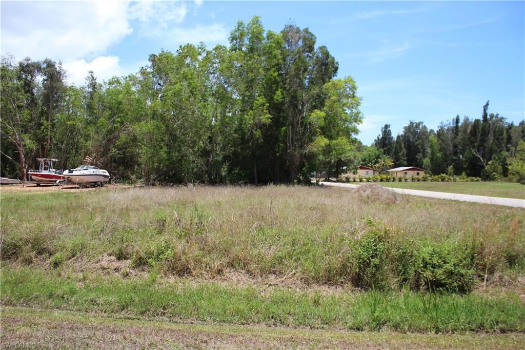 PINE ISLAND CENTER - Land