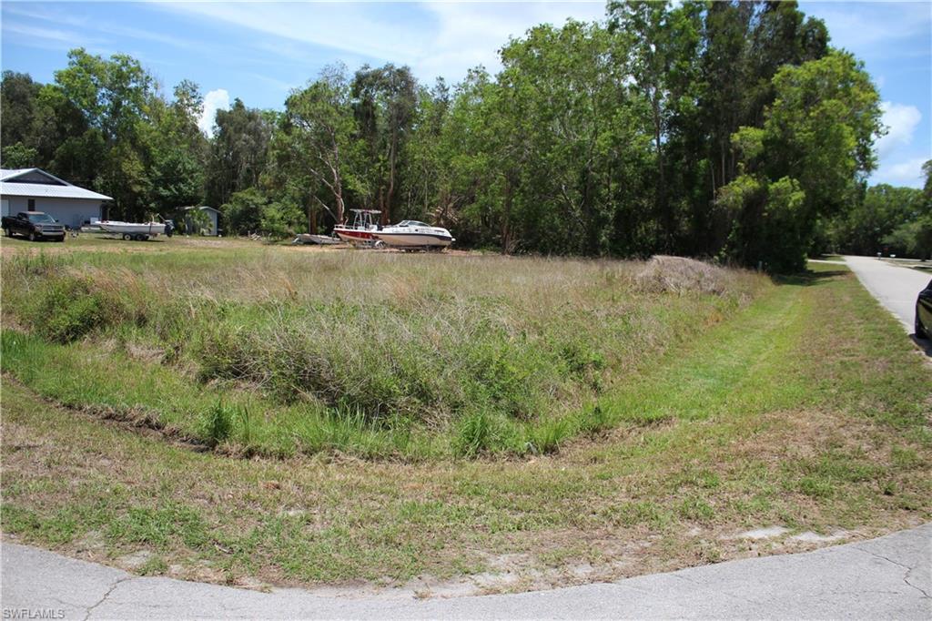 PINE ISLAND CENTER - Land