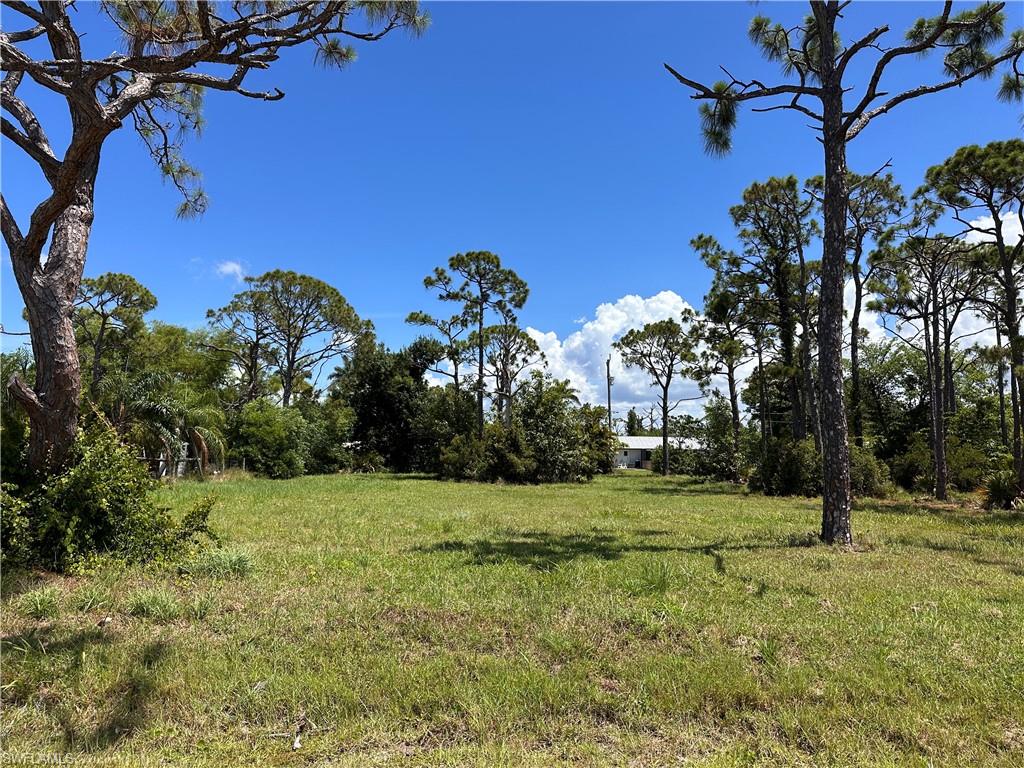 PINE ISLAND TROPICAL HOMESITES - Land