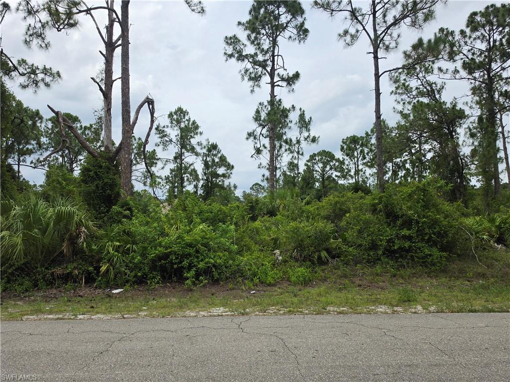 LEHIGH ACRES - Land