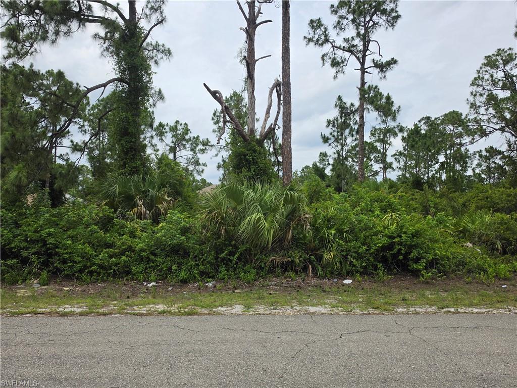 Discover the perfect place to build your dream home on this oversized 0.29-acre homesite in Lehigh Acres, FL. Situated on a paved road with power available, this spacious lot offers an excellent opportunity for homeowners, investors, or builders. A recent environmental review indicates no wetlands or slopes, providing added confidence as you plan your future home. Located in a growing area of Lehigh Acres, you'll enjoy convenient access to schools, parks, shopping, restaurants, medical facilities, and major roadways, with easy connections to Fort Myers, Southwest Florida International Airport, and the Gulf Coast's beautiful beaches. Whether you're looking to build now or invest for the future, this oversized parcel combines location, convenience, and development potential in one outstanding property. Don't miss this chance to own land in one of Southwest Florida's fastest-growing communities!